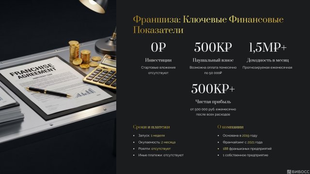 Франшиза NIMETS