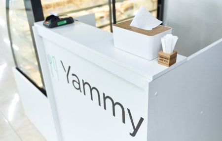 Франшиза Yammy