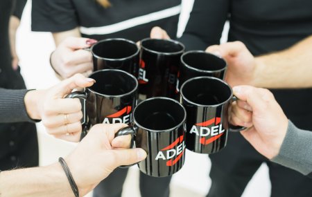 Франшиза ADEL