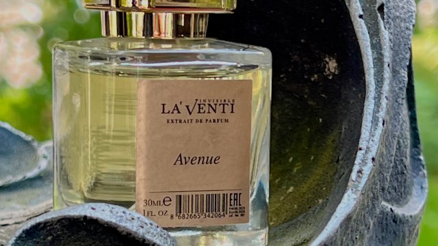 Франшиза LaVenti