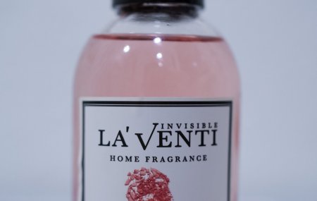 Франшиза LaVenti