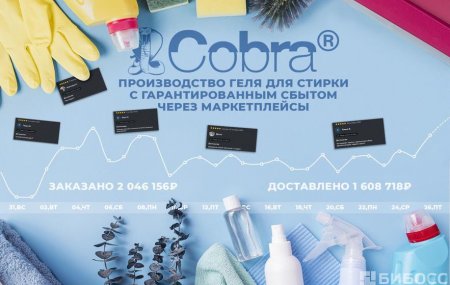 Франшиза Cobra