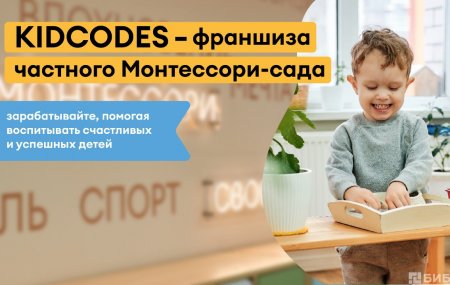 Франшиза KIDCODES