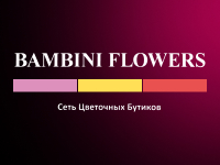 Франшиза Bambini Flowers