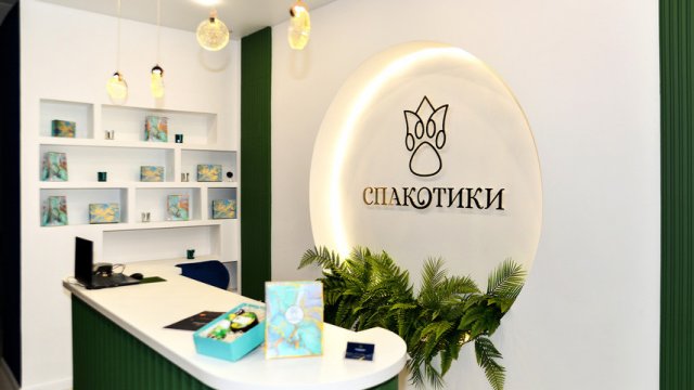 Франшиза Спакотики