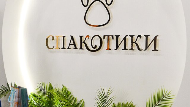 Франшиза Спакотики