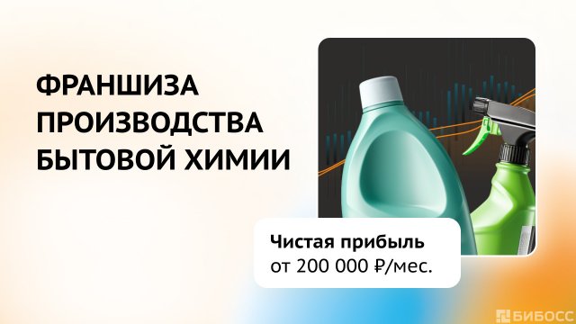 Франшиза БизПро