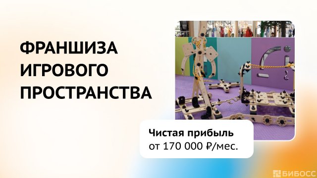 Франшиза Конструкция развития