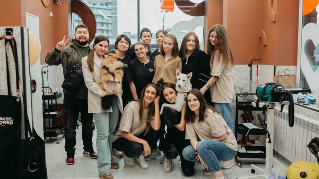 Франшиза Блэкгрумер