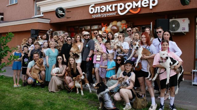 Франшиза Блэкгрумер
