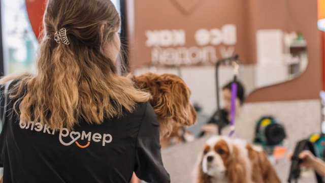 Франшиза Блэкгрумер