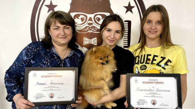 Франшиза Блэкгрумер