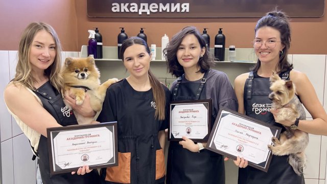 Франшиза Блэкгрумер