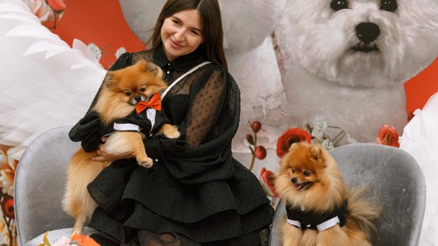 Франшиза Блэкгрумер