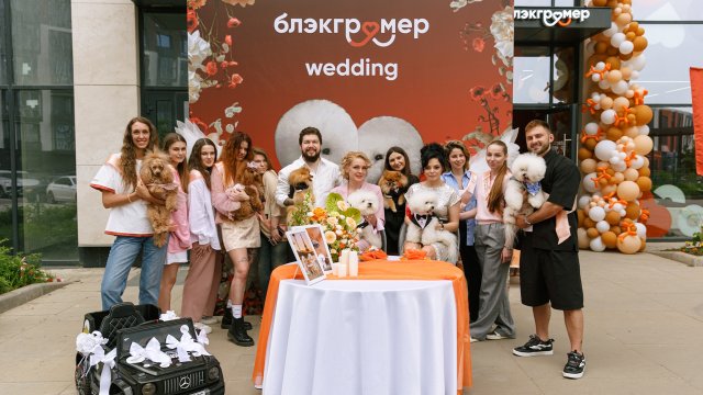 Франшиза Блэкгрумер