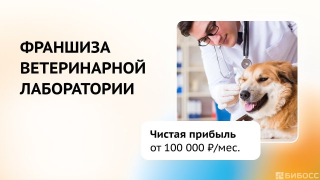 Франшиза Зайцев+