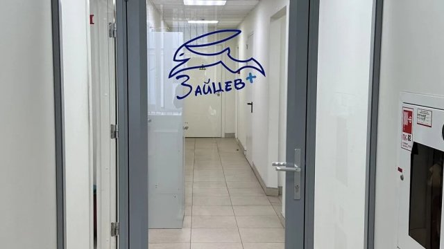 Франшиза Зайцев+