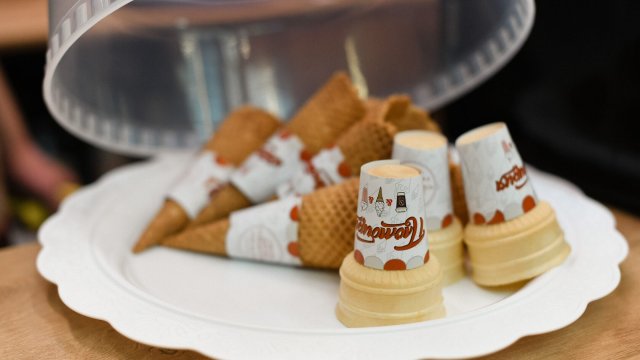 Франшиза Пломбирия