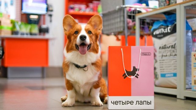 Франшиза Четыре Лапы
