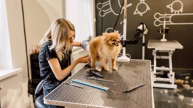 Франшиза BARBERDOG