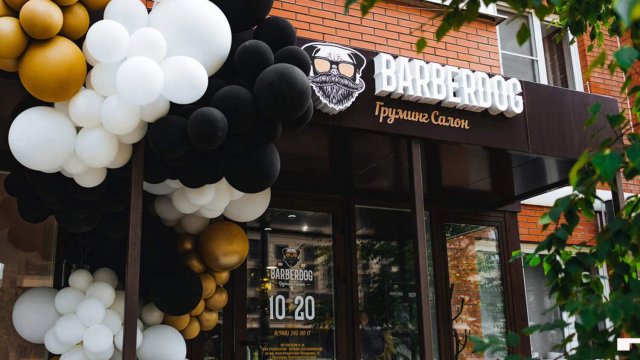 Франшиза BARBERDOGФраншиза BARBERDOG