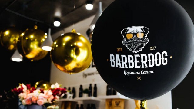 Франшиза BARBERDOG