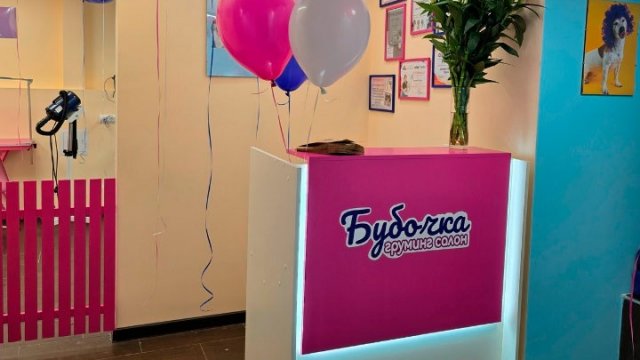 Франшиза Бубочка