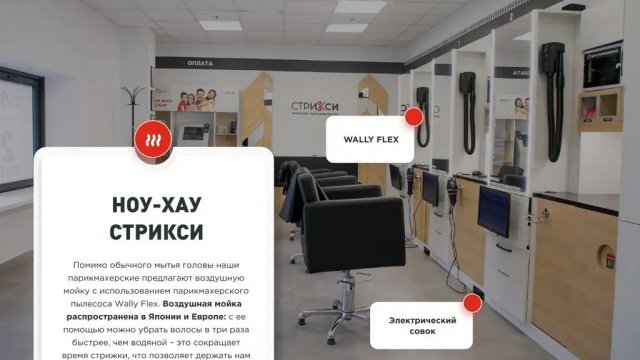 Франшиза Стрикси