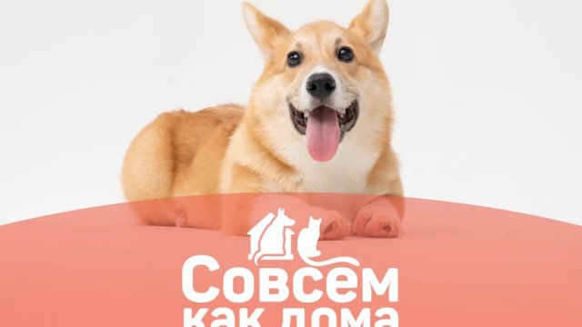 Совсем как дома
