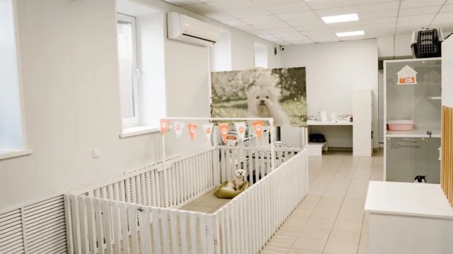 Совсем как дома