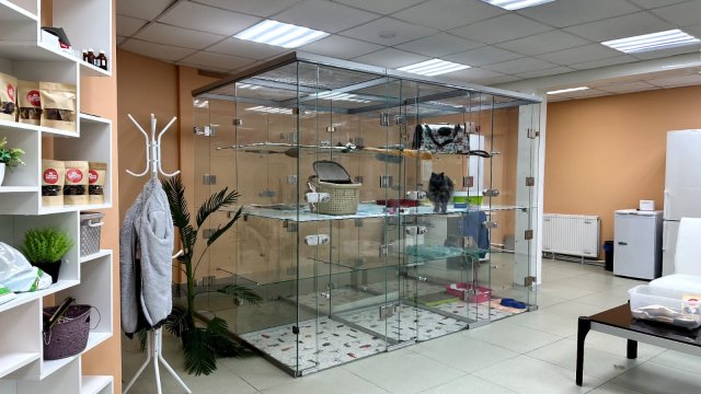 Совсем как дома