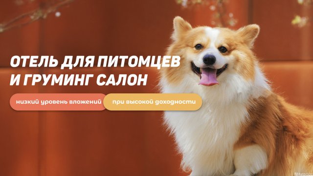Франшиза Совсем как дома