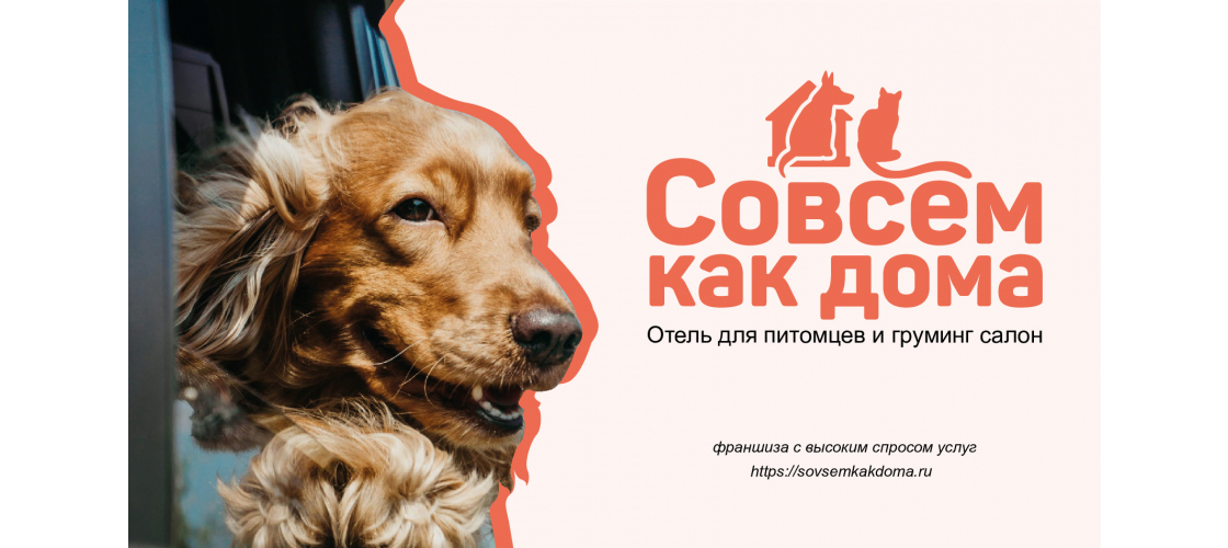 Презентация