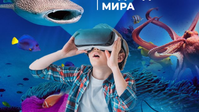 Франшиза DimAleks Media Group
