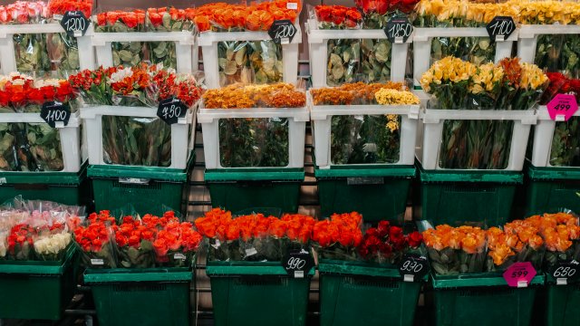Франшиза ПРОСТОЦВЕТЫ