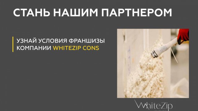 Франшиза WhiteZip cons