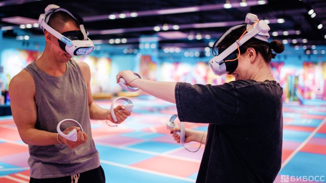 Франшиза AVATAR ARENA
