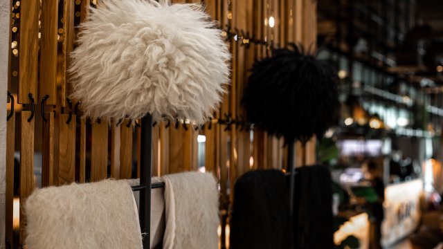 Франшиза Кацо