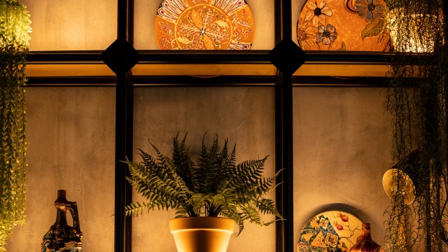 Франшиза Кацо