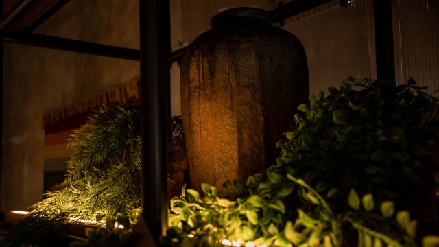 Франшиза Кацо