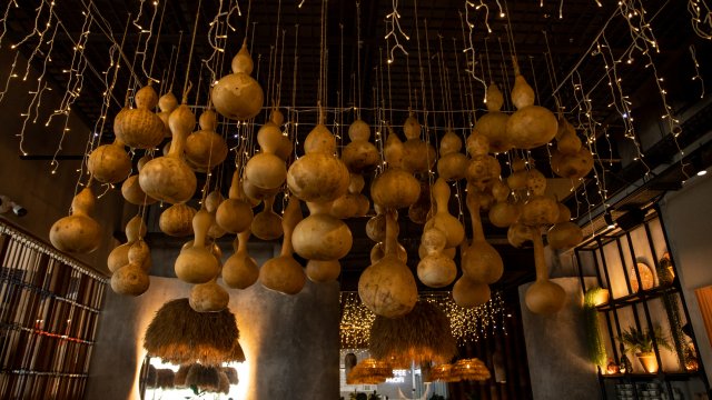 Франшиза Кацо