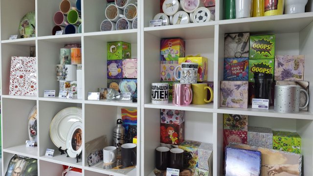 Франшиза Дом Хамелеона