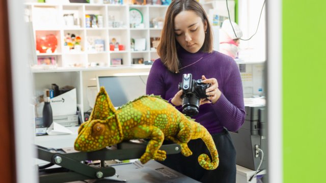 Франшиза Дом Хамелеона