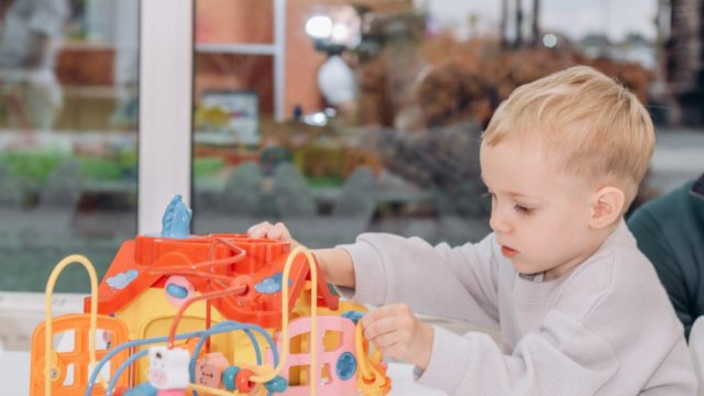 Франшиза Слон и Птичка