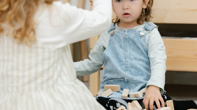 Франшиза Слон и Птичка