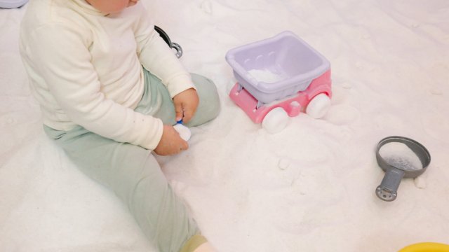 Франшиза Слон и Птичка