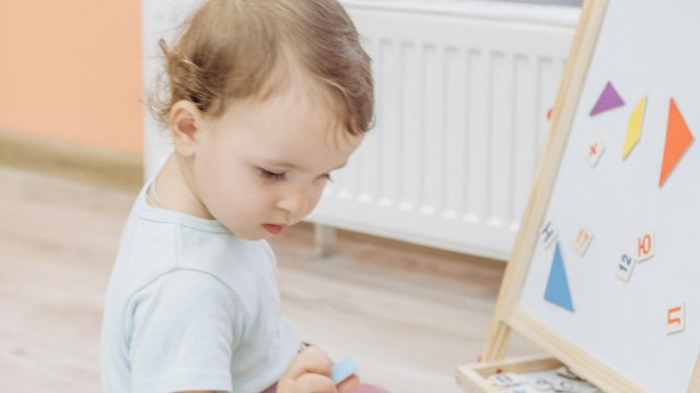 Франшиза Слон и Птичка