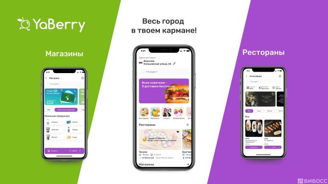 Франшиза YaBerry