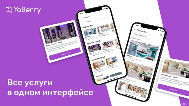 Франшиза YaBerry