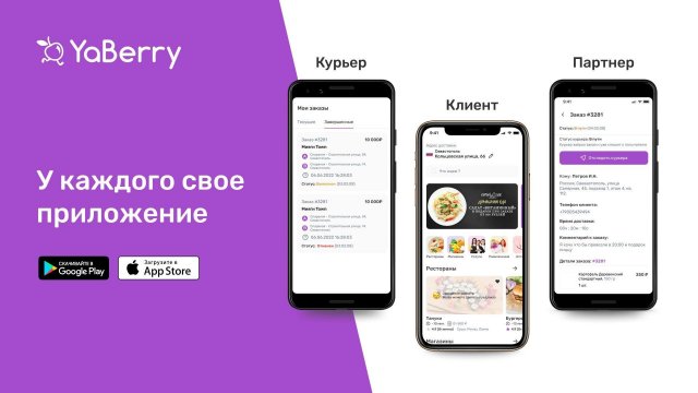 Франшиза YaBerry